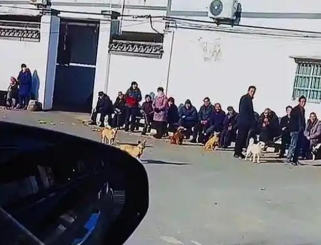邻居心生嫉妒半夜偷偷拿着铁锤将车子砸毁凯时尊龙人生就是博男子过年开新车回家(图12)